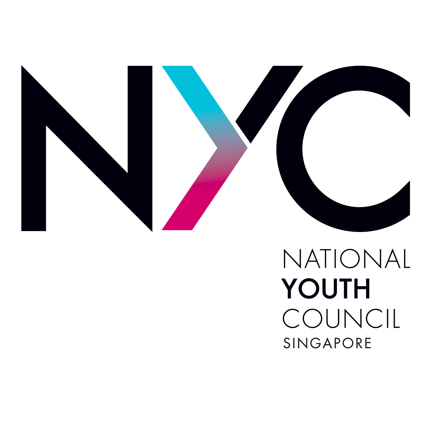 National Youth Council Logo